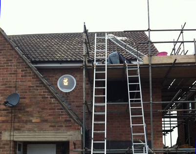 Phase 3